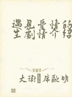 遇见爱情的利先生剧情介绍大结局