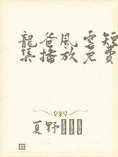 龙爸风云短剧全集播放免费观看高清