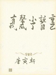 有声小说重生后我成了自己的情敌