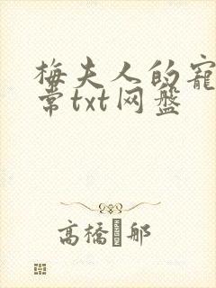 梅夫人的宠夫日常txt网盘