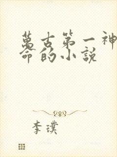 万古第一神李天命的小说