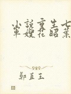 小说重生七零小军嫂花昭叶深