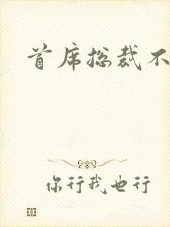 首席总裁不好惹