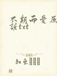 不期而爱原著小说txt