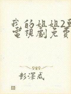 我的姐姐2韩剧电视剧免费播放