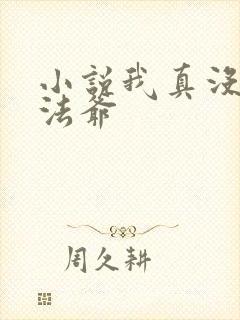 小说我真没针对法爷