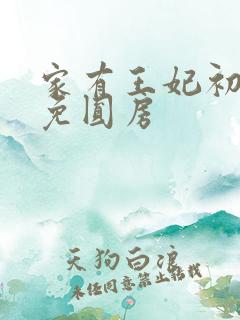 家有王妃初长成免圆房