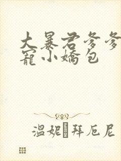 大暴君爹爹的团宠小娇包