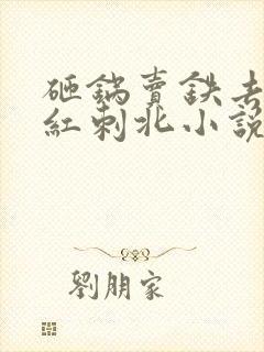 砸锅卖铁去上学红刺北小说精校