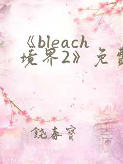 《bleach境界2》免费观看在线