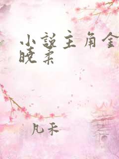 小说主角金锋关晓柔