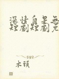 深情自是无情负短剧短剧免费观看