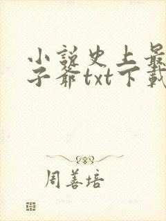 小说史上最强太子爷txt下载