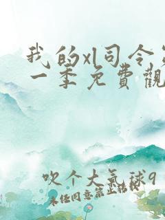 我的xl司令第一季免费观看高清