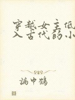 穿越女主低调融入古代的小说