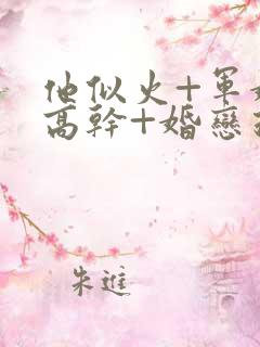 他似火+军婚+高干+婚恋推荐