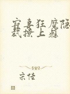 宠妻狂魔隐婚总裁撩上瘾