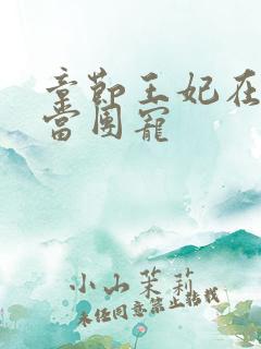 章节王妃在京城当团宠