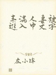 丰满人妻被猛烈进入中文字幕