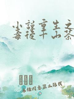 小说重生之将门毒后千山茶客最新章节列表