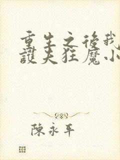 重生之后我成了护夫狂魔小说