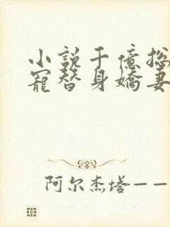 小说千亿总裁独宠替身娇妻