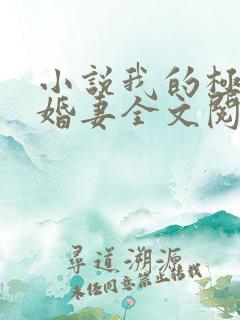 小说我的极品未婚妻全文阅读