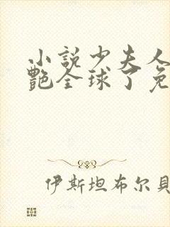 小说少夫人她惊艳全球了免费看