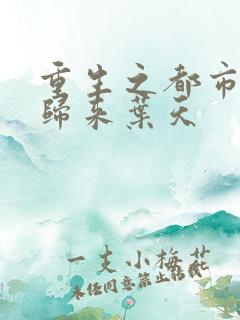 重生之都市修真归来叶天