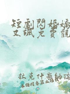 短剧闪婚娇妻美又飒免费观看