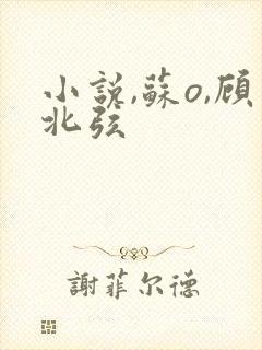 小说,苏o,顾北弦