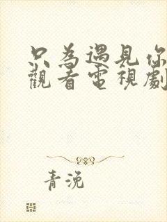 只为遇见你免费观看电视剧全集