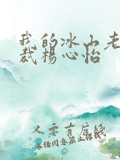 我的冰山老婆总裁杨心怡