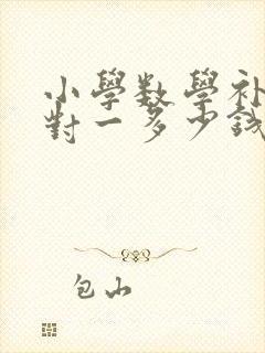 小学数学补习一对一多少钱