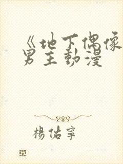 《地下偶像》双男主动漫