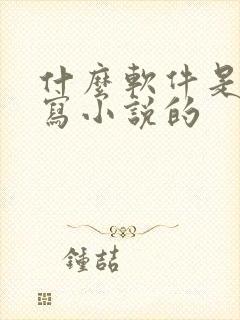 什么软件是ai写小说的