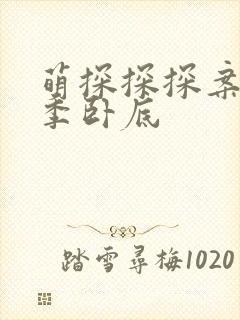 萌探探探案第三季卧底