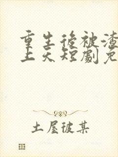 重生后被渣男宠上天短剧免费观看