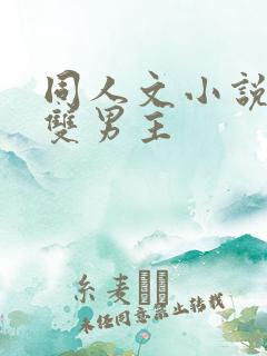 同人文小说推荐双男主