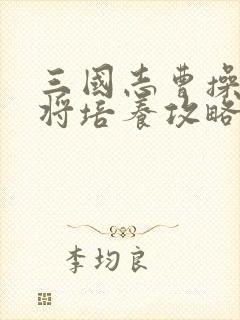 三国志曹操传武将培养攻略