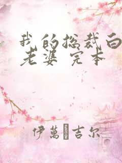 我的总裁白富美老婆 完本