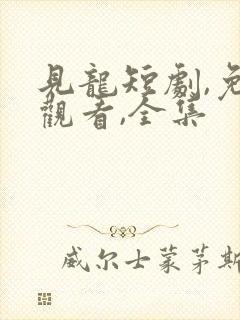 见龙短剧,免费观看,全集