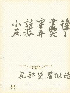 小说穿书后我把反派弄哭了