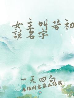 女主叫若初的小说名字