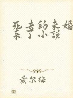 死去的未婚夫回来了小说