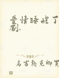 爱情睡醒了电视剧.