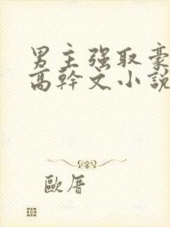 男主强取豪夺的高干文小说推荐