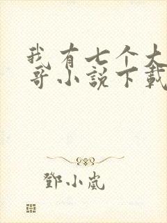 我有七个大佬哥哥小说下载txt