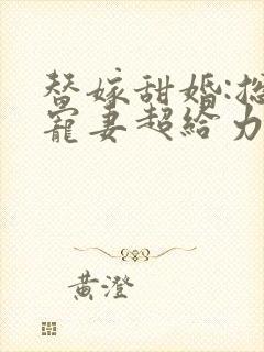 替嫁甜婚:总裁宠妻超给力