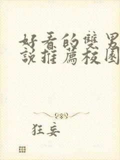 好看的双男主小说推荐校园